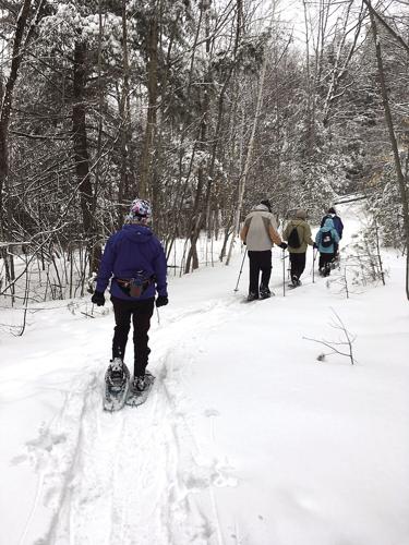 Nordic Tracks - 2020 Trek the Rec group snowshoeing