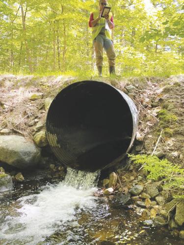 Saco River Watershed Stream Crossing Assessment Project