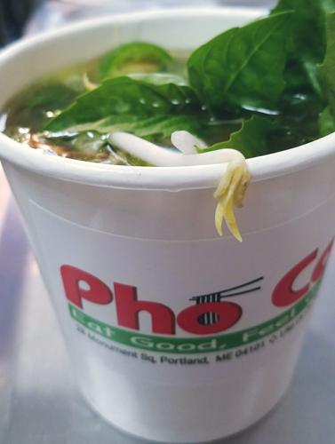 PhoCo.jpg