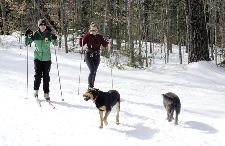 Nordic Tracks - Dogs and skiers in Whitaker Woods