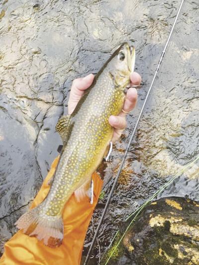 8-7-2021 North Country Angling-Brook Trout