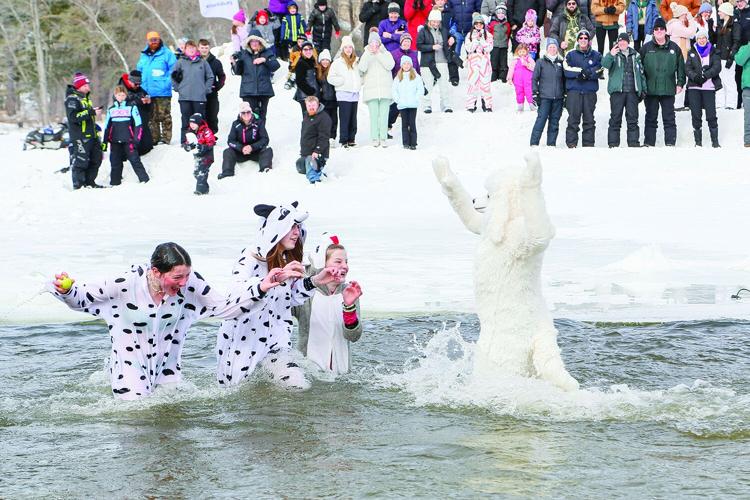 02-15-25 Harvest Hills Freezing dogs medium