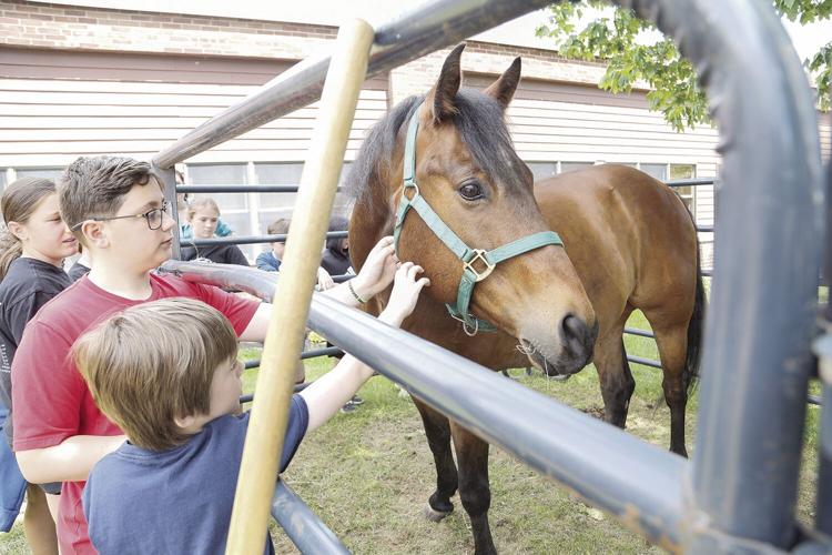 06-08-24 Career Day petting horse