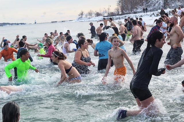 polarplunge.jpg