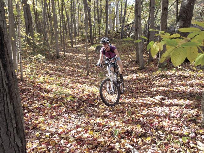 Wheel Family Fun - Gorham's Power Island