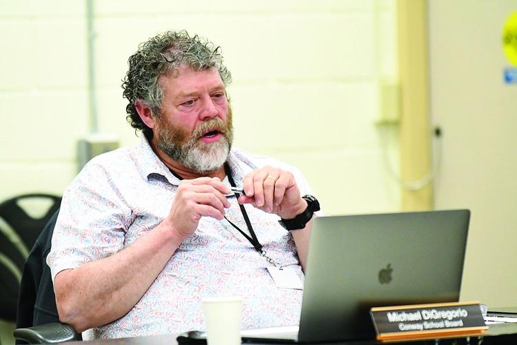 Conway School Board - Pime Tree lights - Mike DiGregorio