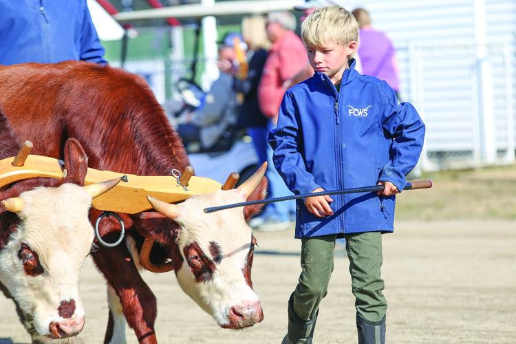 10-04-25 Fryeburg Fair kid with steer tight