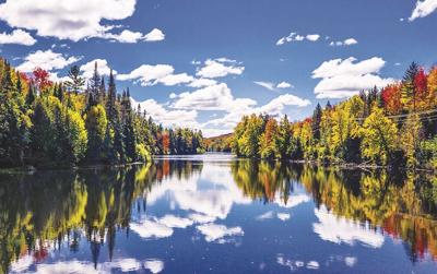 Great North Woods