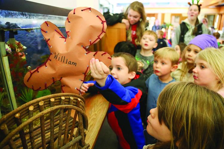 12-18-25 Gingerbread Hunt finding library blur