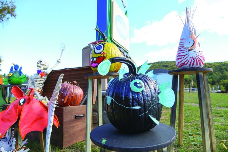 10-01-25 Pumpkin People living shores medium