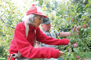 Hatches' Orchard and other venues: Fruits of their labor