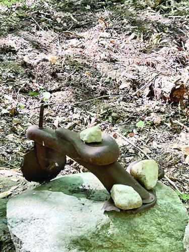 Wheel Family Fun - Green Woodland - tiny tricycle