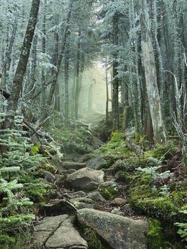 TOP SCENIC (third overall) - Kinsman Ridge Trail