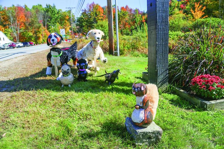 10-01-26 Pumpkin People debony with squirrel