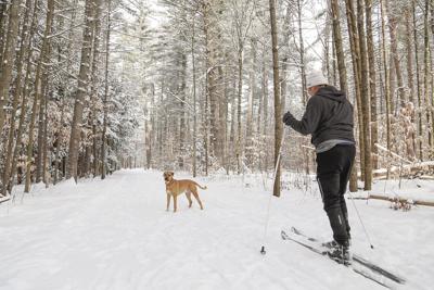 12-24-24 Snow whitaker skier 1