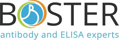 Boster Bio Expands Access to Validated CD68 Antibody Marker for IHC and Translational Research