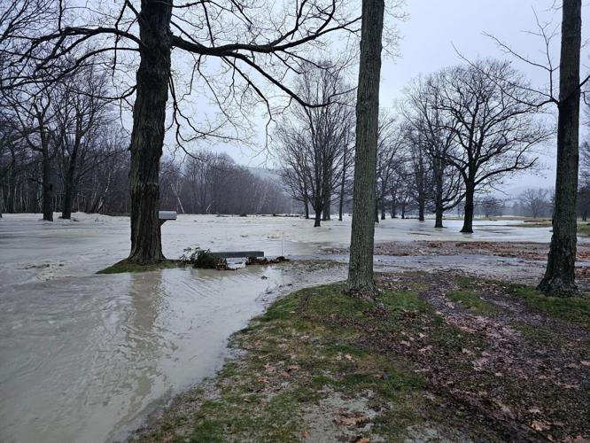 Trees are surrounded by water from the overflowing river