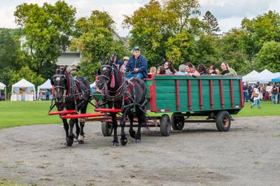 Celebrate the 30th North Country Moose Festival this weekend