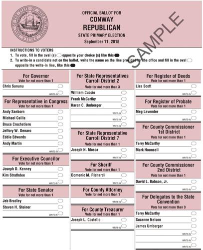 Republican sample ballot