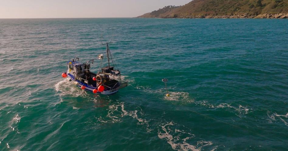 New floating scarecrow will stop thousands of seabirds drowning, scientists says