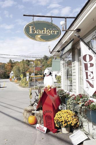 10-05-21 Pumpkins badger vertical