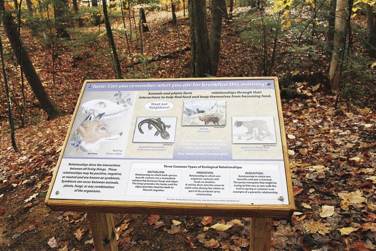 11-10-21 Panels sign wildlife