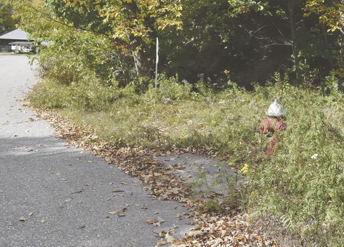 mills street hydrant