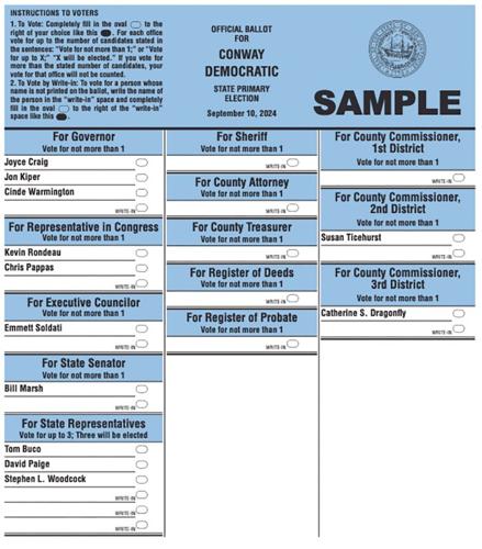 dem ballot