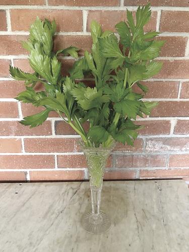 TWW celery vase