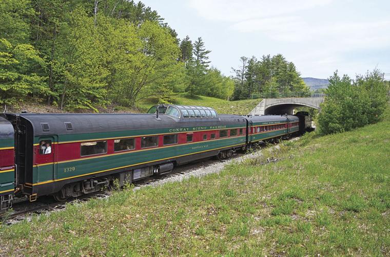 mountaineer at goves