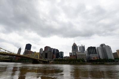 Pittsburgh's air pollution not only led to increased deaths, but it also had other negative effects, from lowered IQ in children to adverse birth outcomes.