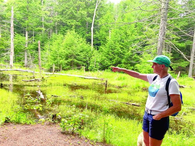 Tin Mountain Wander - Heather points to beaver.jpg