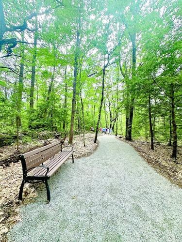 mayberry hill preserve1
