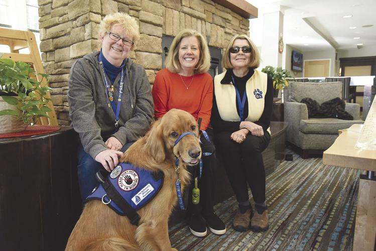 11-6-19 Therapy Dog Digger