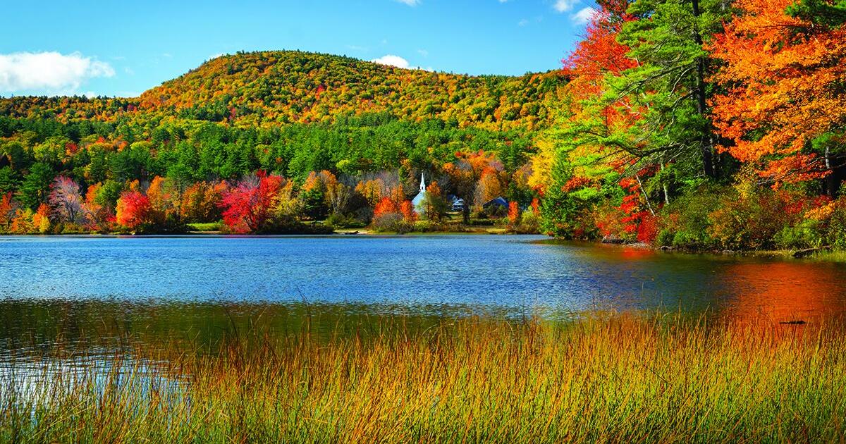 Experts forecasting delayed but extended colorful foliage season Sep 4, 2026 Sep 4, 2026 Updated 1 hr ago
