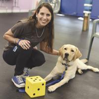Captain passes with flying colors, ready to be a assisted facility therapy dog