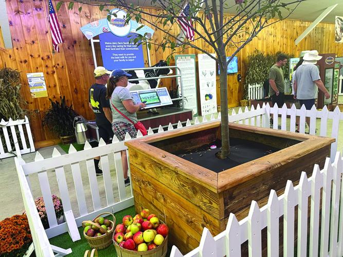 ag exhibit apples.jpg