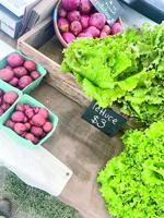 Butter Lettuce, New Potatoes, Eggs and Pancetta Vinaigrette
