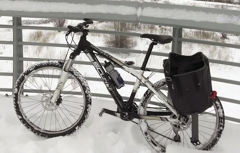 Wheel Family Fun - Virginia Schrader's bike