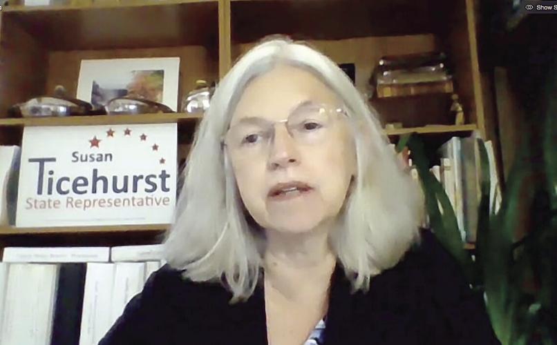 Gibson Forum - Susan Ticehurst