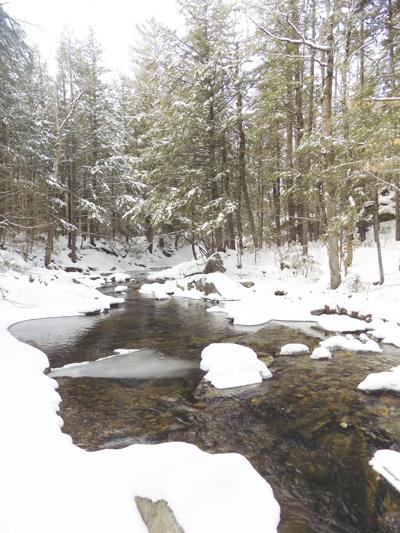 1-30-2021-Parsons-Chapman Wildlife Sanctuary