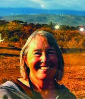 Tin Mountain welcomes artist Sarah Owen Tabor with reception