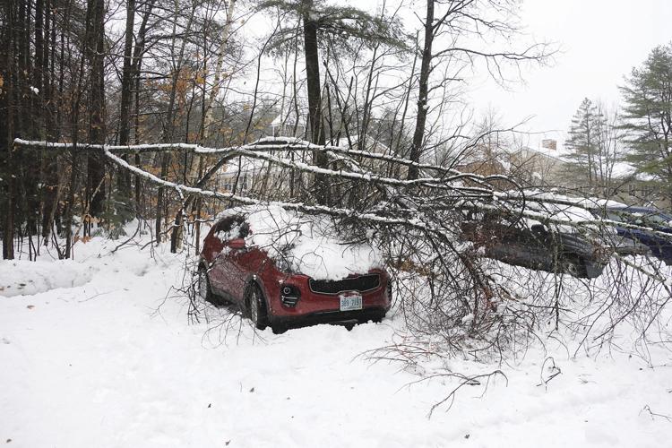 11-27-18 Storm_trees on car North Conway