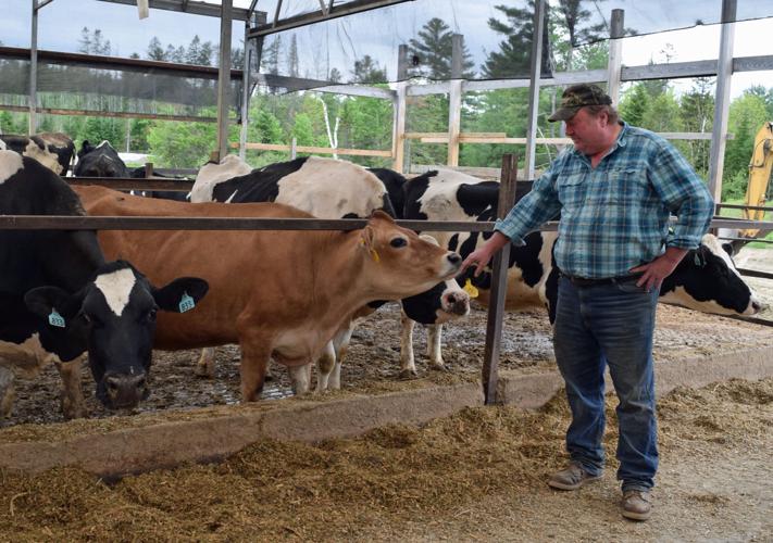 Three Flint sons plan to stay on family dairy farm