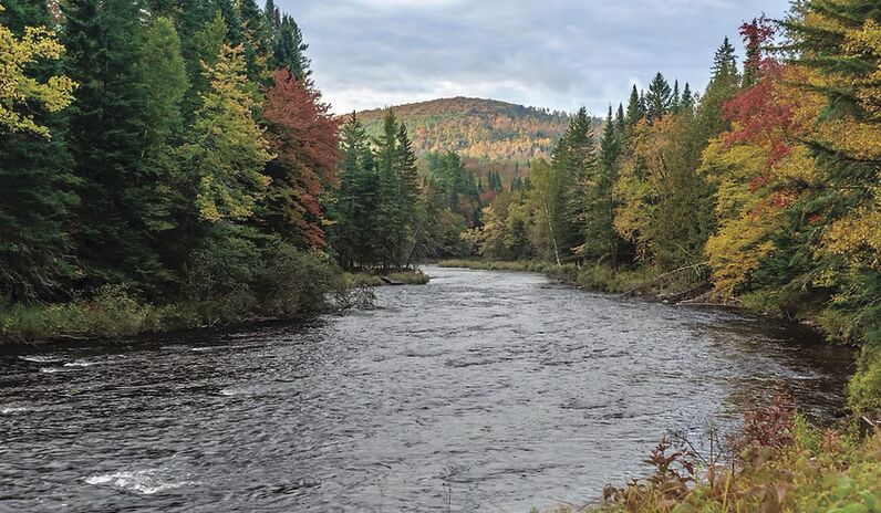 connecticut river.jpg