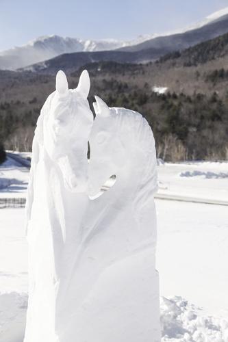 01-30-22 Snow Sculpting horses