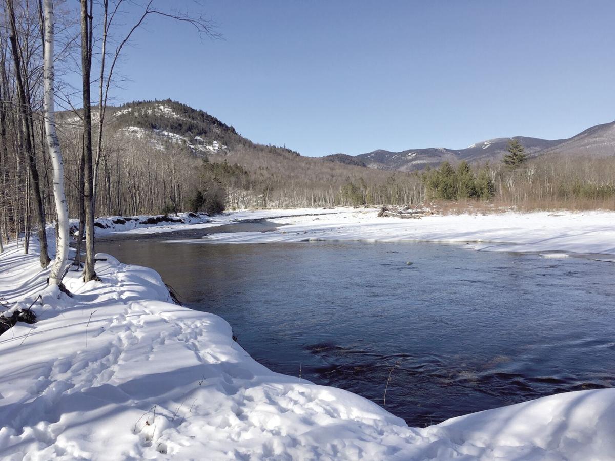 Nordic Tracks Bear Notch Best Kept Secret In The White Mountains Cross Country Skiing Conwaydailysun Com