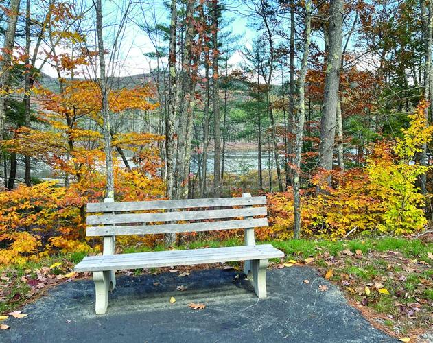Wheel Family Fun - East Side Ride - bench overlooking Pudding Pond