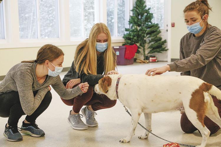 12-10-21 Pay it Forward cahs dog petting