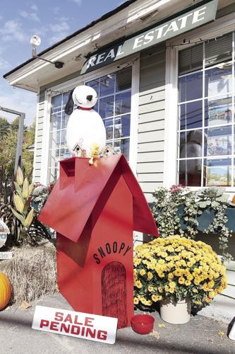 10-05-21 Pumpkins badger tighter vertical